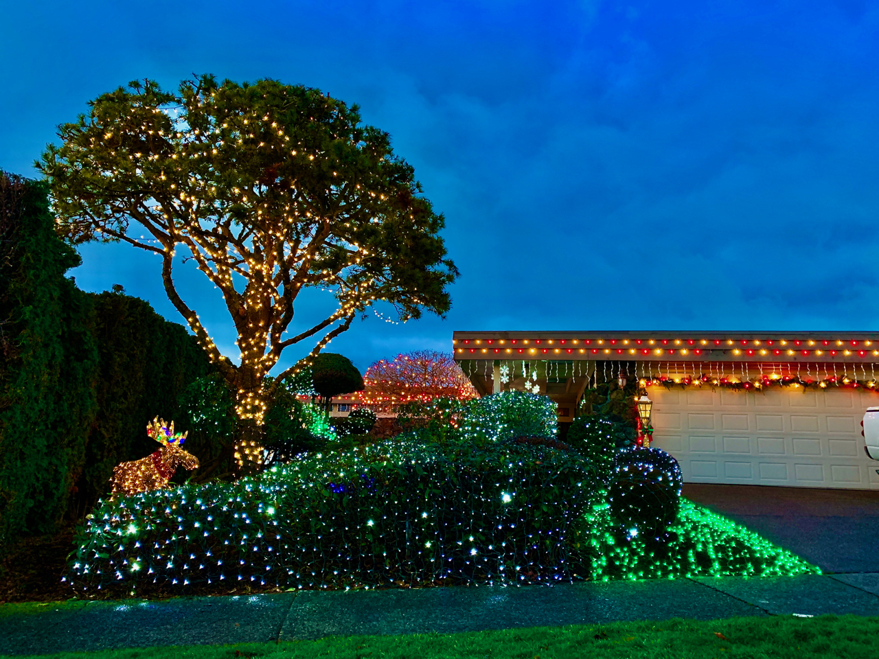 Christmas Lights Seattle 2024 Olympics Ollie Atalanta